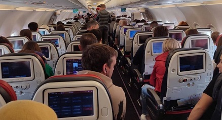 Кошка без билета стала причиной задержки рейса в Стамбуле