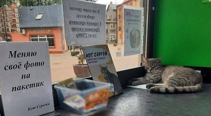 Кота Серёжу «уволили» из магазина в Зеленоградске из-за анонимного доноса