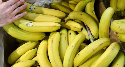 Дефицит бананов в России будет через месяц