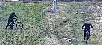 Украинцы на велосипедах пытались проникнуть в Германию