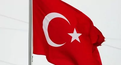 Давление Запада не помешает Турции вступить в БРИКС, считает эксперт