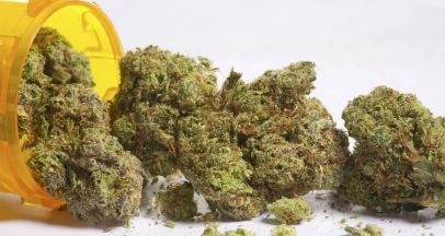 Легализация каннабиса на Украине: что изменилось с 16 августа