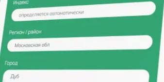 Плюсы сервисов автозаполнения форм и особенности их работы