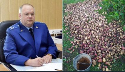 В Рязани осудили экс-прокурора за взятку... картошкой