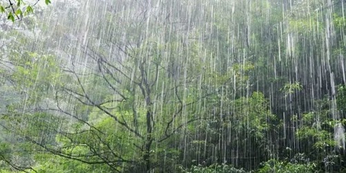 Nature: в дождях по всему миру растёт уровень опасной «вечной кислоты»