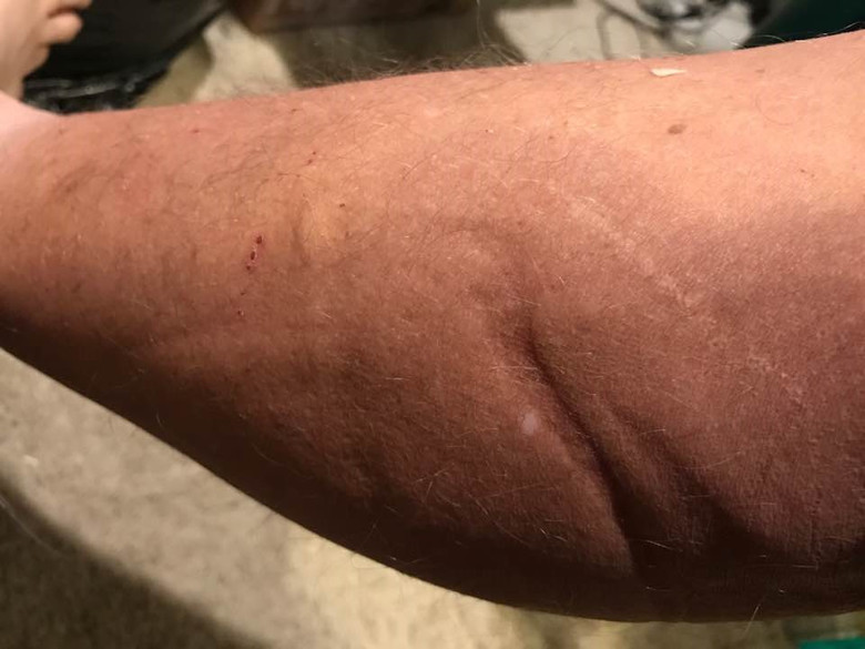 Фермер из Аризоны продает свое ранчо потому, что ему надоело регулярно сражаться с пришельцами 1